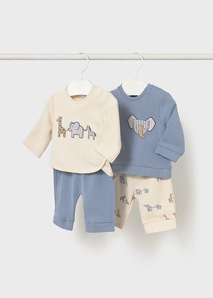 Conjunto dos piezas animales